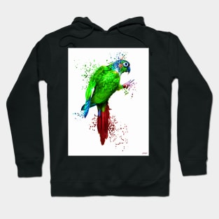 Parrot Painted Hoodie